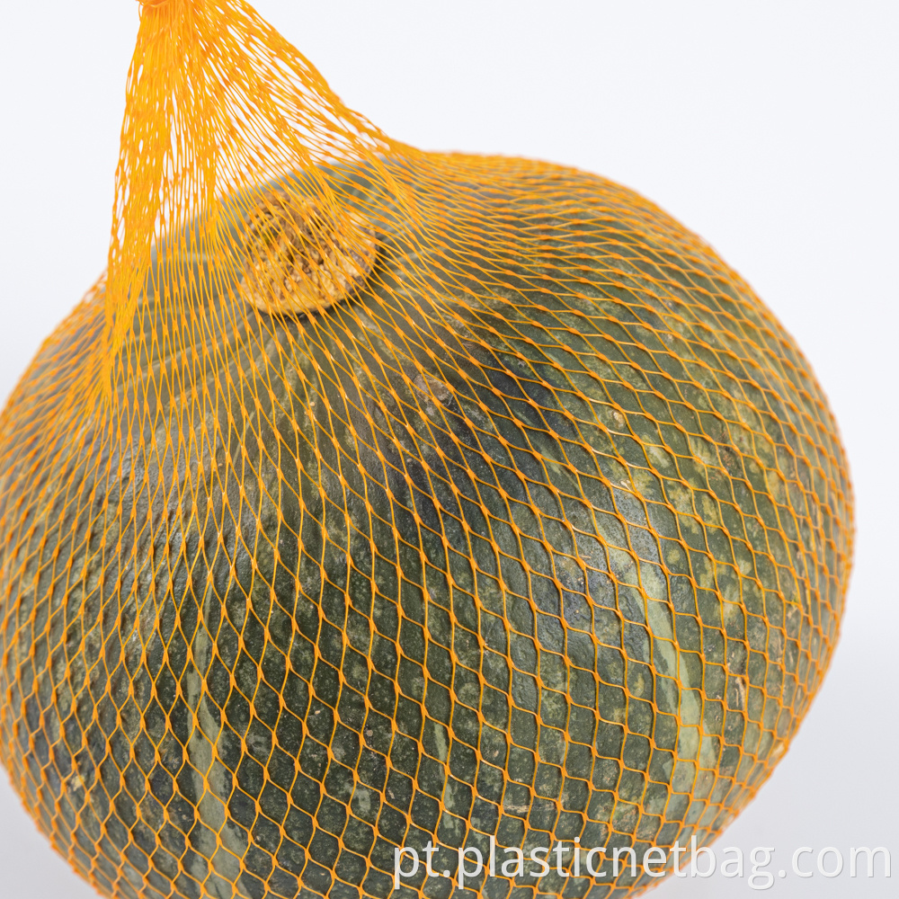 Pumpkin Mesh Bag